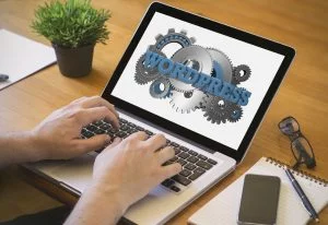 Plantillas-wordpress--cómo-saber-qué-tema-está-usando-una-página-web-1